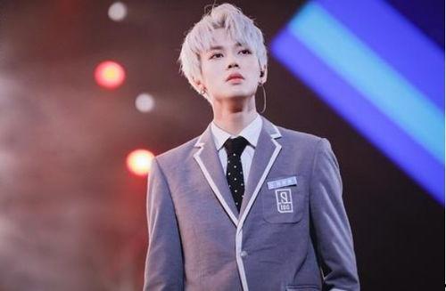 彦俊香蕉娱乐,青春偶像的星光璀璨之路